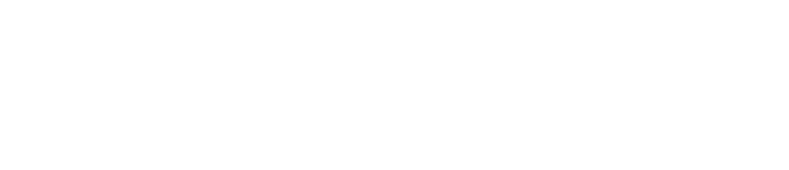 360BusinessSolutions_Logo_White